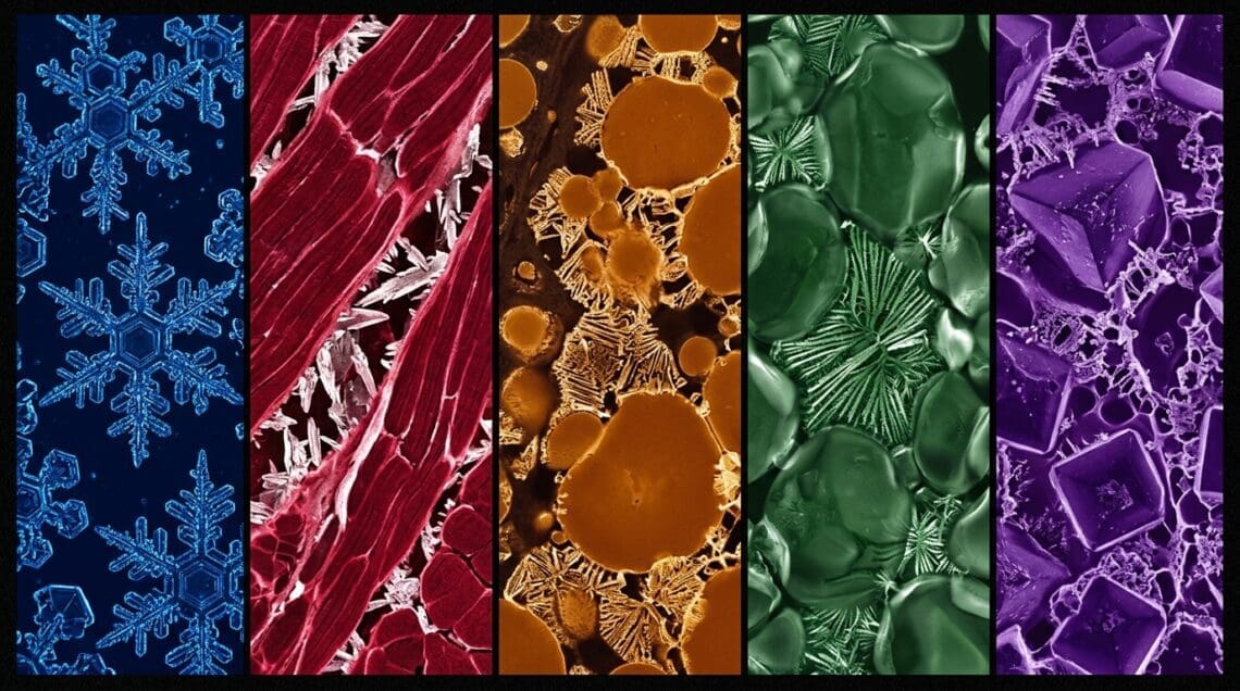 The Five Elements: How Water, Protein, Fat, Starch, and Salt Govern Freezing